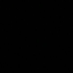 Meet your Posher, Traeshon